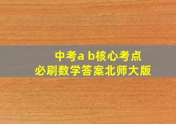 中考a b核心考点必刷数学答案北师大版